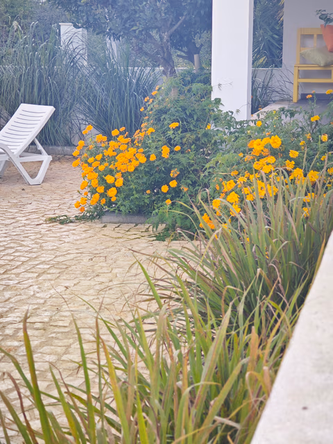 Herdade di Luce — foto 7